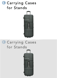 carrying_case