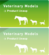 Veterinary model