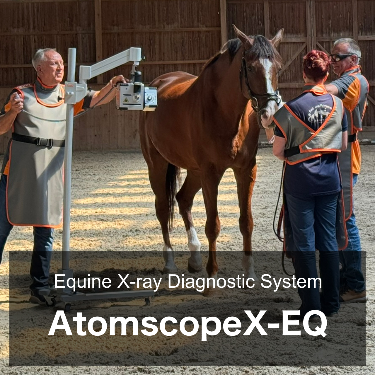 Equine X-ray Diagnostic System AtomscopeX-EQ