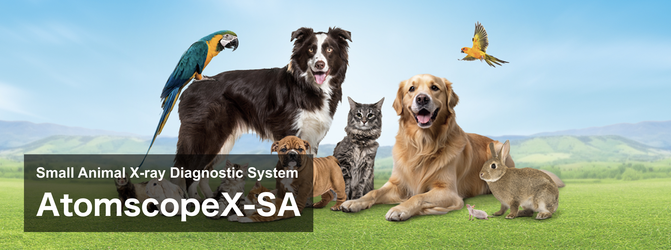 Small Animal X-ray Diagnostic System AtomscopeX-SA