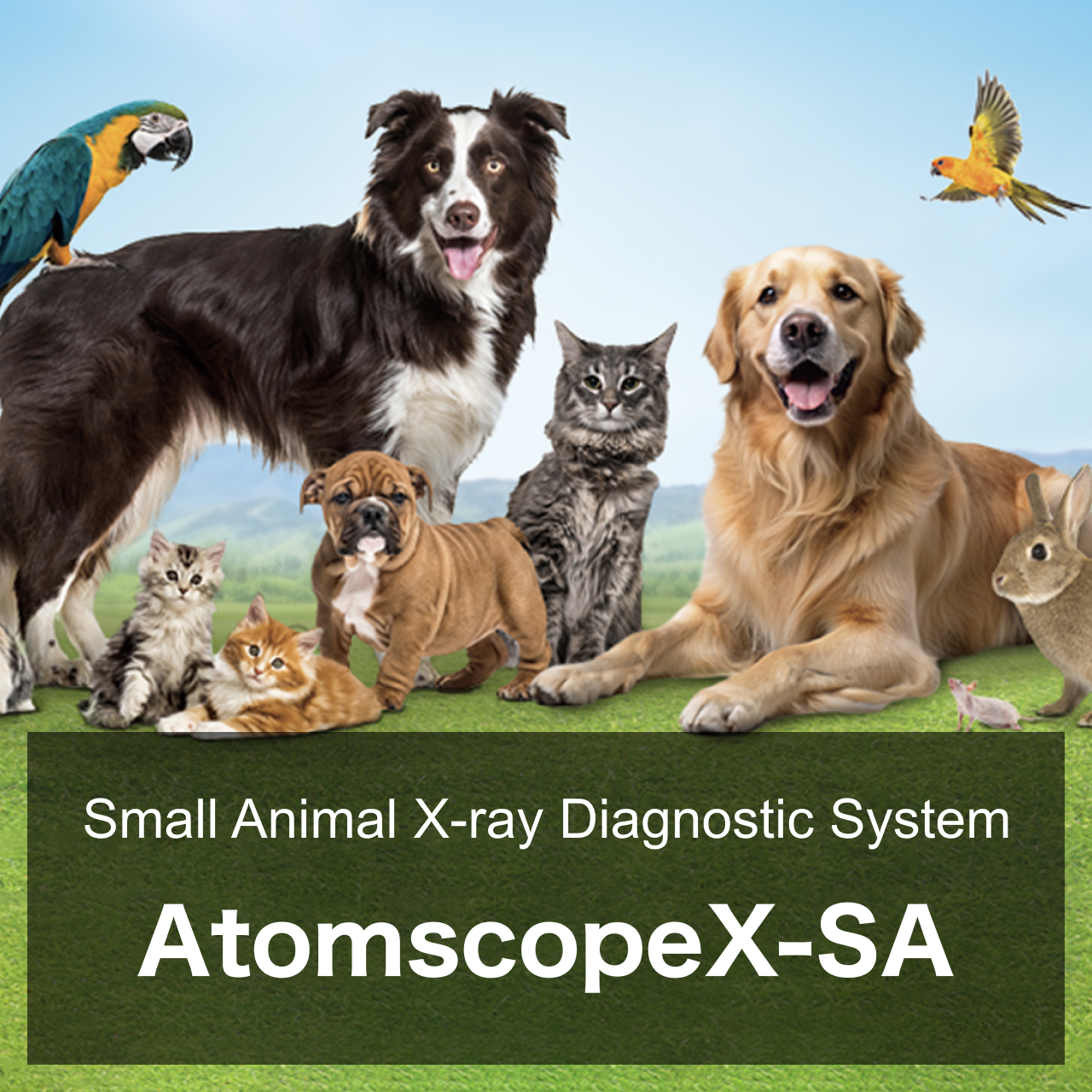 Small Animal X-ray Diagnostic System AtomscopeX-SA