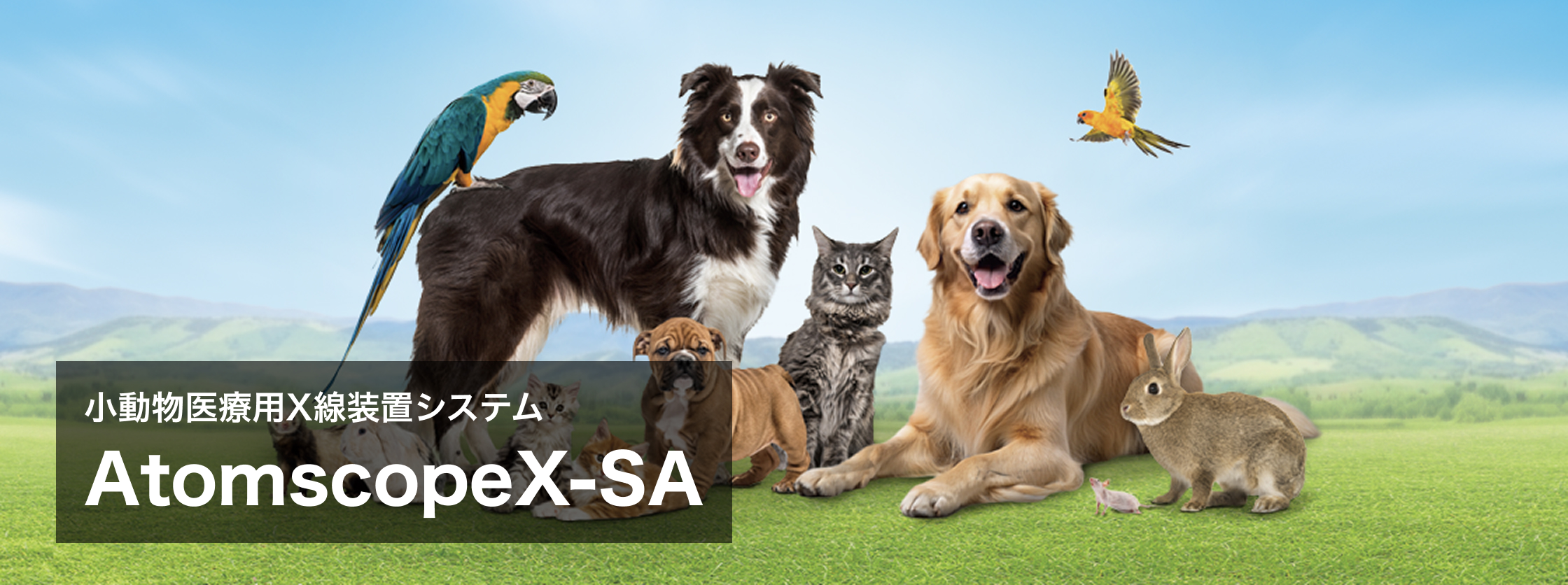 小動物用X線装置システム AtomscopeX-SA