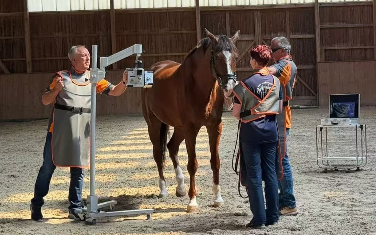 馬の診療現場に — AtomscopeX-EQ